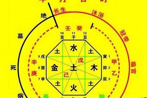 喜用神 金水|八字喜用神为金水 (喜用神和五行缺有什么区别)